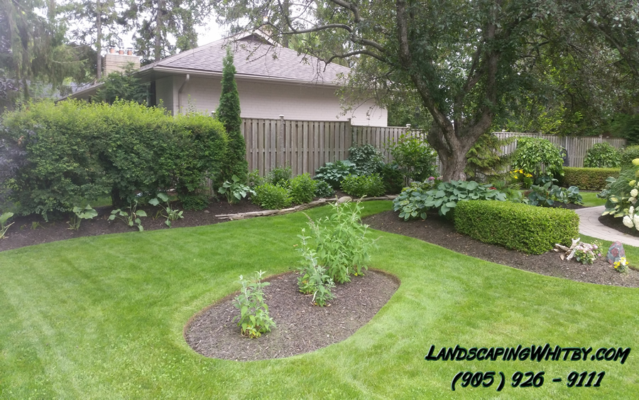 Gardening Gardener Flower Beds